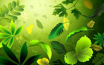 Background, Leaves HD wallpaper
