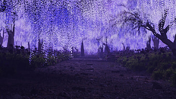 ArtStation - scene of demon slayer——Wisteria HD wallpaper