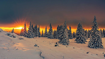 Winter landscape, winter, trees, hill, sunset HD wallpaper