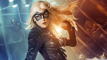 Black Canary [] Need HD wallpaper