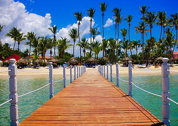 Wooden dock leading to a tropical beach resort with palm trees and clear blue waters. HD wallpaper
