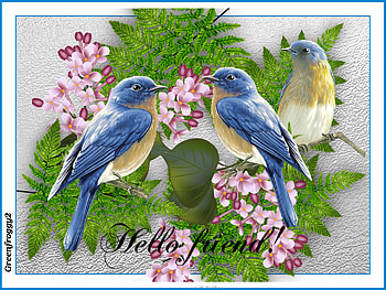 HELLO FRIEND, FRIEND, COMMENT, HELLO, CARD HD wallpaper