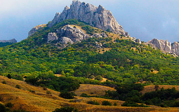 Nature, Trees, Mountains, Relief, Cliff HD wallpaper