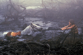 The NeverEnding Story, Movie , HQ HD wallpaper
