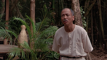 Kickboxer, Action-packed adventure, Fight for glory, Unleash your inner warrior HD wallpaper