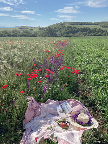 que picnic setup in a wildflower meadow during summer, featuring fresh fruits and a straw hat. HD phone wallpaper