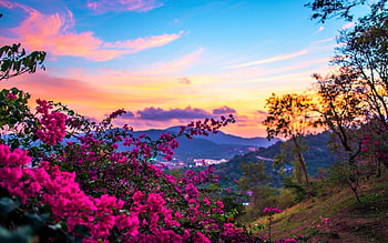 PINK flowers from the HILLS, enchanting nature, landscape, mountain, clouds, nature, sky, pink flowers, splendor, evening, sunset HD wallpaper