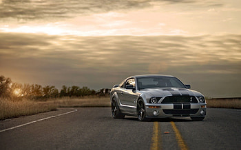 Sunset, Ford, Mustang, Cars, Road, Silver, Silvery, Muscle Car, Shelby HD wallpaper