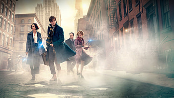 Fantastic Beasts, , Background , Magical creatures HD wallpaper