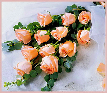For Andonia, white, coral, roses, dozen, green, flowers HD wallpaper