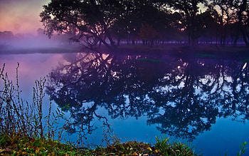 Lagoon Sebastopol, nature HD wallpaper
