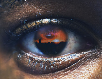 Reflection, Macro, hop, Eye, Pupil, Eyelash, Eyelashes HD wallpaper