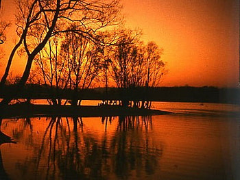 Summer burn, trees, orange, gold, lake, reflections, sunset HD wallpaper