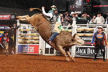 Hampton Coliseum, Rodeo HD wallpaper