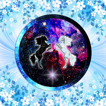 Luz y oscuridad, blanco, unicornio HD phone wallpaper