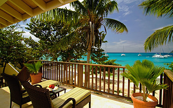 Landscape, Beach, Palms HD wallpaper