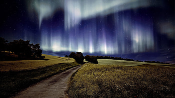 Pathway, nature, night, northern lights HD wallpaper
