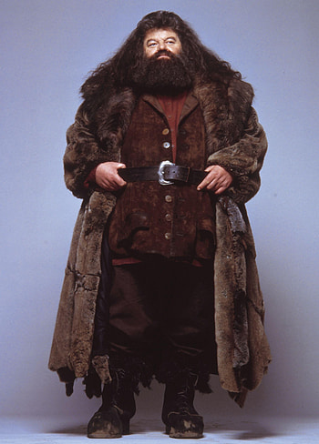 Hagrid, Magical creatures expert, Tenderhearted caretaker, Brave guardian HD phone wallpaper