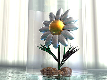 3d margerit, margerit, water, 3d, flower HD wallpaper