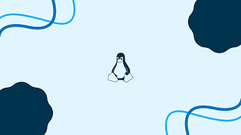 Tux Linux Light , tux, linux, computer, light HD wallpaper