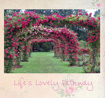 rose arbor, garden, nature, arbor, roses HD wallpaper