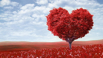 Heart tree, Trees HD wallpaper