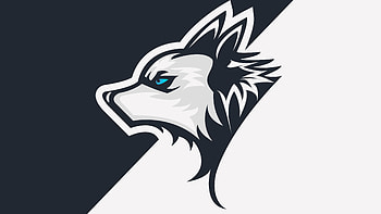 Wollf Minimal , wolf, minimalism, minimalist, artist, artwork, digital-art HD wallpaper