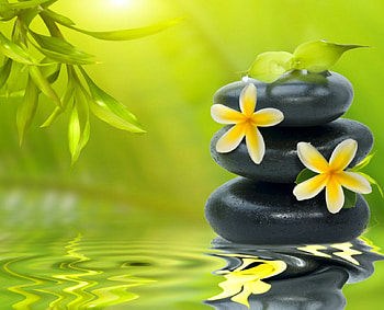 Spa, flowers, reflection, green HD wallpaper