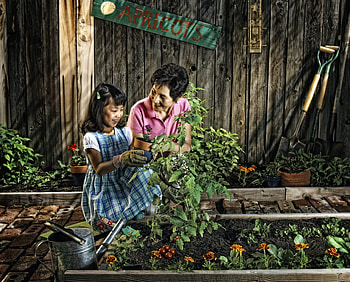 The Home Garden, tools, shed, vegetables, mother, garden, planting, daughter HD wallpaper