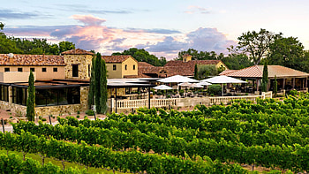Vineyards on Hwy 290, Wine enthusiasts, Scenic beauty, Wine tasting HD wallpaper