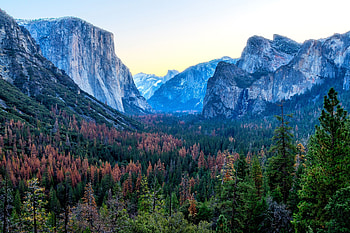 Nature, Trees, Sky, Mountains, Dahl, Distance HD wallpaper