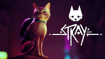 Stray game, Delayed release, New gameplay trailer, Anticipation for 2022 HD wallpaper