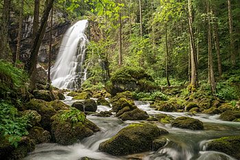 Waterfall, forest, green, tree HD wallpaper