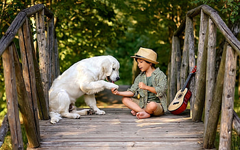Friends, dog, boy, Labrador Retriever HD wallpaper