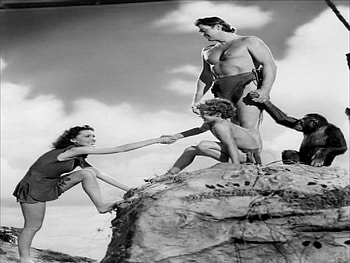 TARZAN FAMILY, movies, action, actors, usa HD wallpaper