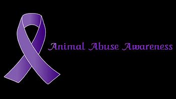 Animal Abuse Awareness , , nature, animals, awareness HD wallpaper