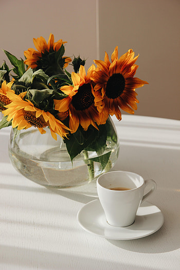 Flowers, Sunflowers, Cup, Bouquet, Table, Vase HD phone wallpaper