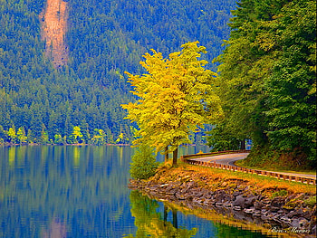 On the edge, edge, beautiful, tree, lake, reflection, autumn, road, nature, mountains HD wallpaper