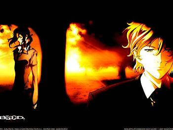 salem&hayji blood+, orange, yellow HD wallpaper