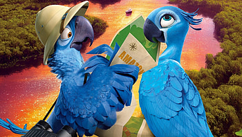 Rio 2 (2022) movie HD wallpaper