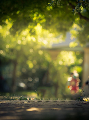 Dslr Nature Background, DSLR Blur HD phone wallpaper