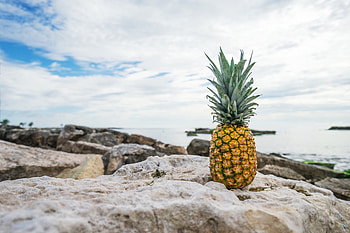 Food, Stones, Shore, Bank, Pineapple HD wallpaper