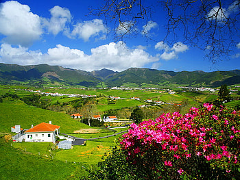 Springtime, house, bushes, meadow, grass, spring, mountain, blossoms, green, clouds, view, flowers, sky, village HD wallpaper