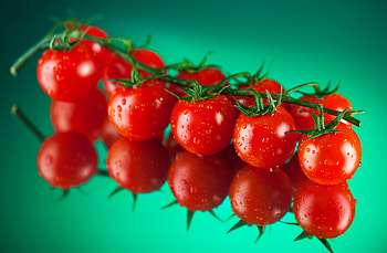 Tomato , backgrounds, Visual appeal, High-quality HD wallpaper
