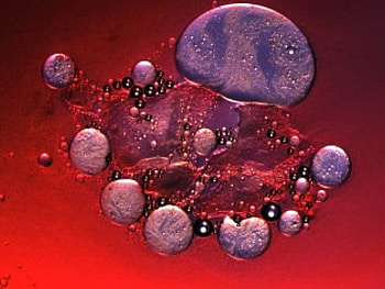 Mercury Footprint, mercury, dots, spots, red HD wallpaper