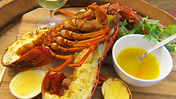 Lobster, animal, egg, food HD wallpaper