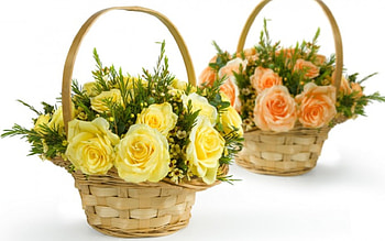 Baskets of roses, rose, roses, peach, yellow, baskets HD wallpaper