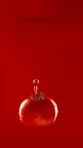 food HD phone wallpaper