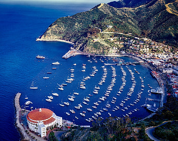 Catalina Island, Yachts, Ocean, Casino, USA, Island, Nature, Mountains, California HD wallpaper