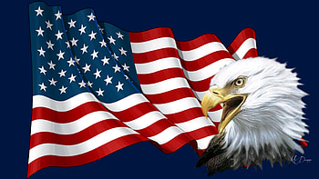 America the Beautiful, eagle, red whie and blue, USA, United States, patriotic, 4th of July, flag, Firefox Persona theme, Independence Day HD wallpaper
